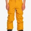 Quiksilver Boy's 8-16 Estate Snow Pants - Buckthorn Brown