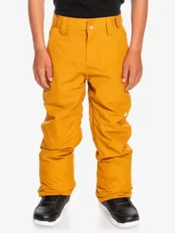 Quiksilver Boy's 8-16 Estate Snow Pants - Buckthorn Brown
