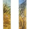 Rossignol Blackops Tatum 118 Skis