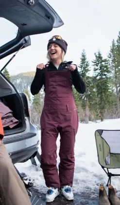 Flylow Women's Sphinx Bib Pants - Elderberry -Ski Equipment Shop flylow womens sphinx bib pants elderberry3